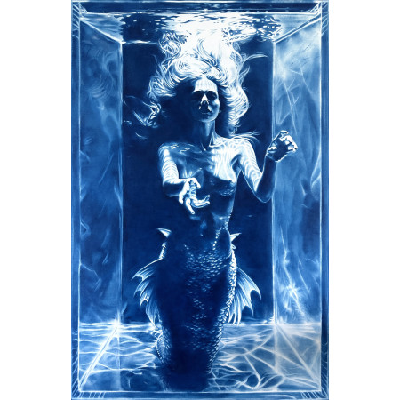 The Mermaid's Secret