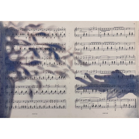 Silhouette Sonata No.1