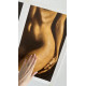 Innocent Lie II - Beautiful Female Nude in Warm Dark Tones
