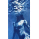 Naiad