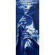 The Mermaid's Curiosity — Blue Water Ocean Nude