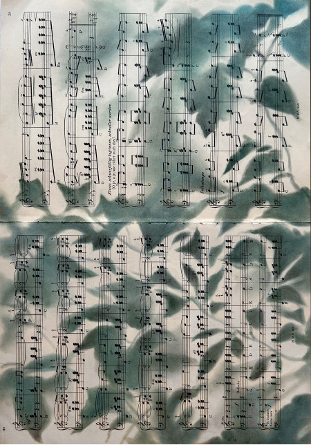 Silhouette Sonata No.5