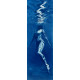 Naiad