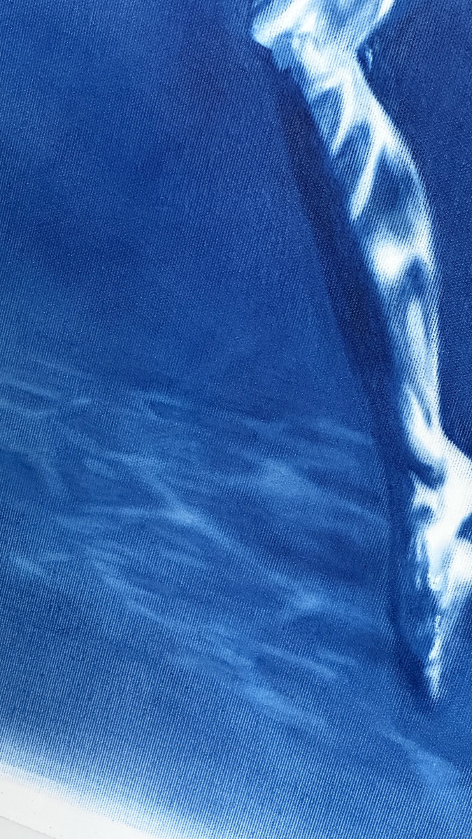 Naiad