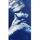 Siren’s Song - Deep Blue Underwater Nude
