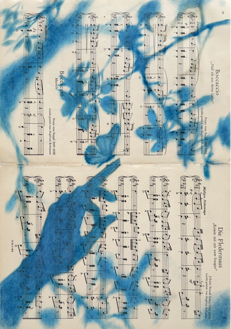 Muse №7