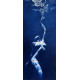 Call of the Siren – Blue Monochrome Underwater Nude Fine Art Print