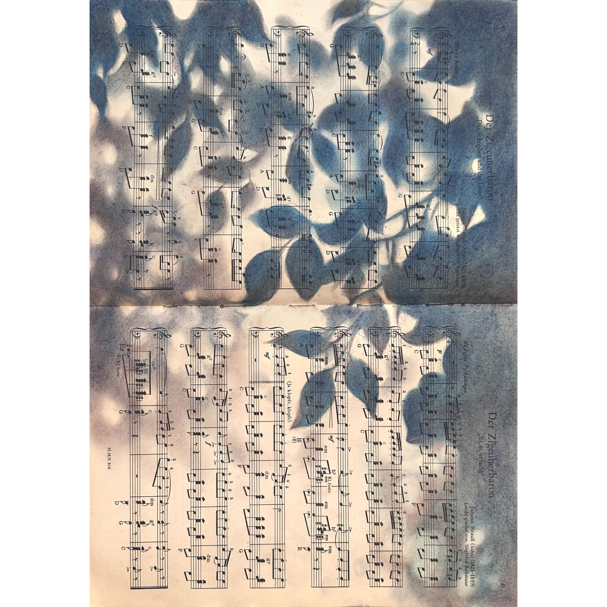 Silhouette Sonata No.2 — Leaf Shadows Over Vintage Strauss Score