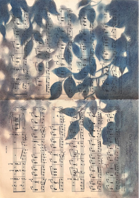 Silhouette Sonata No.2