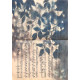Silhouette Sonata No.2 — Leaf Shadows Over Vintage Strauss Score