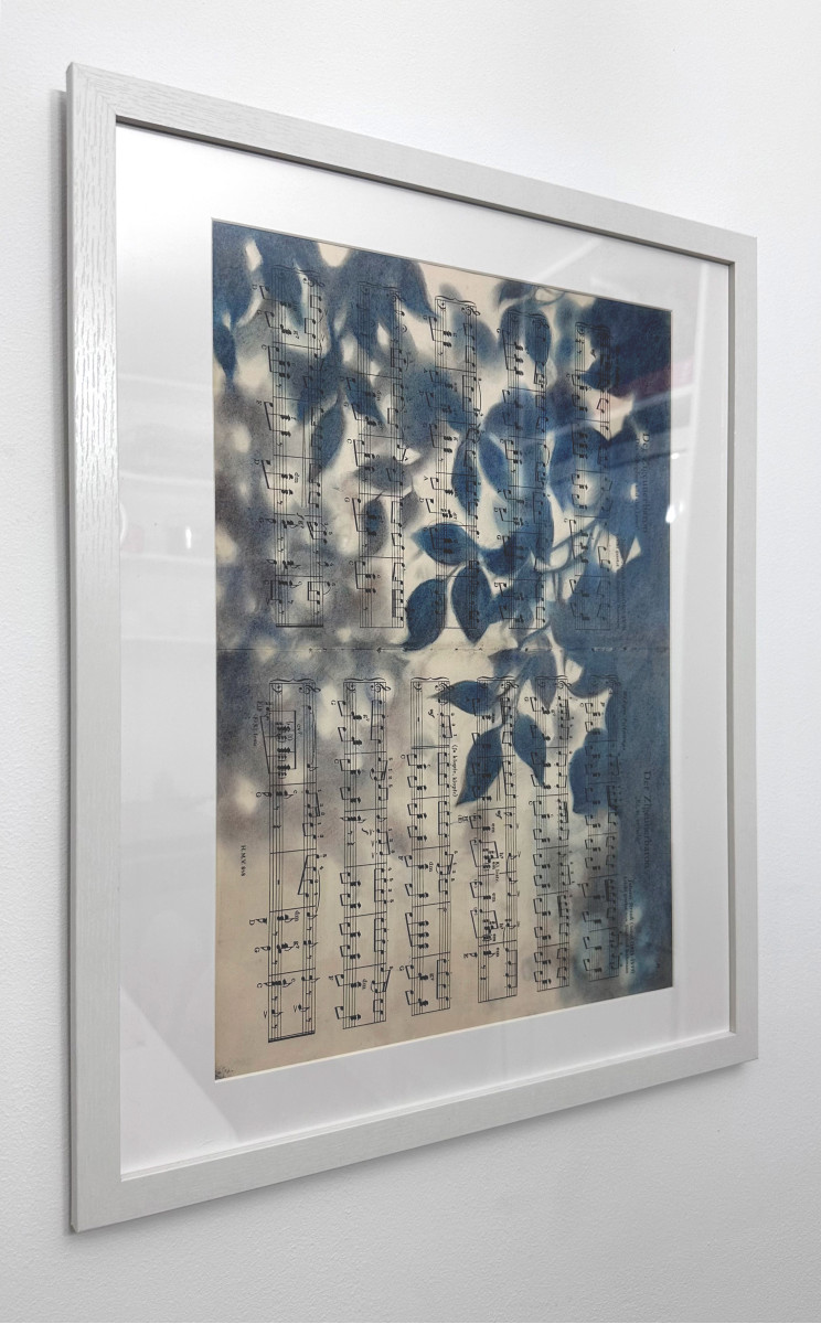 Silhouette Sonata No.2 — Leaf Shadows Over Vintage Strauss Score